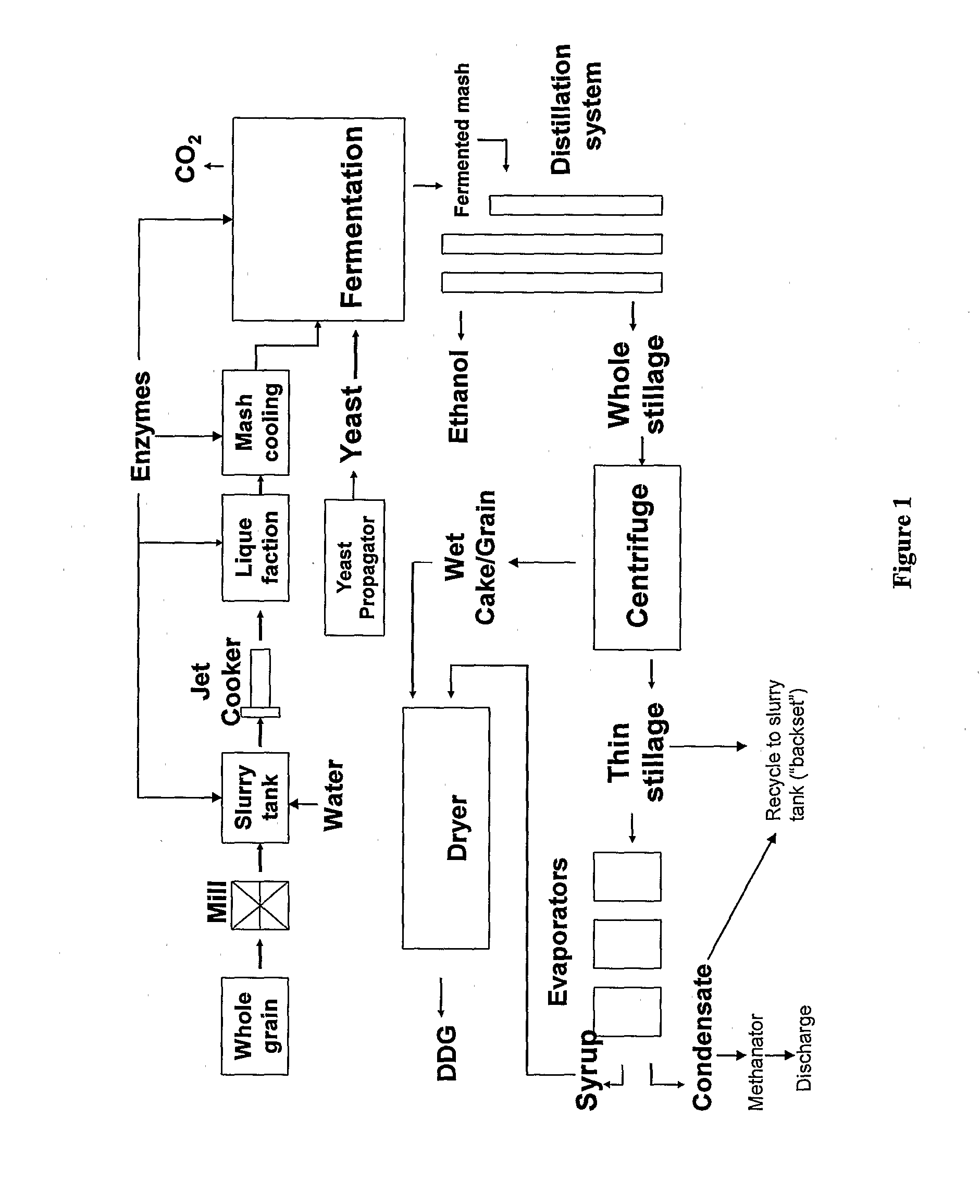 Dewatering Whole Stillage