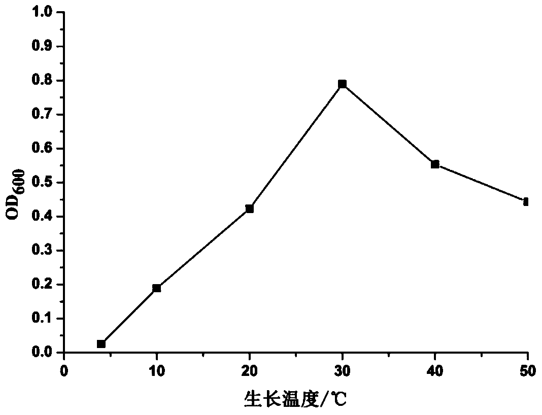 A kind of high-efficiency phosphorus-solubilizing rhizobia and its application