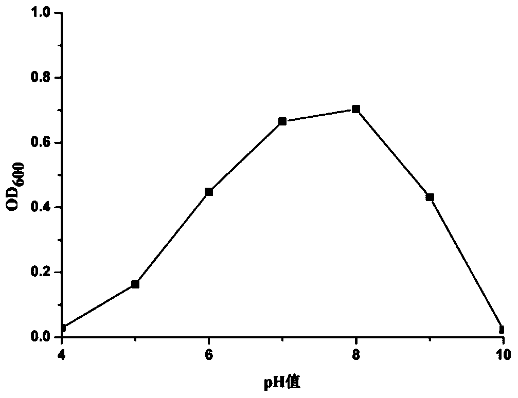 A kind of high-efficiency phosphorus-solubilizing rhizobia and its application