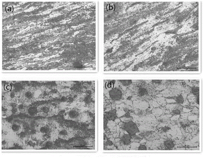 High-strength spheroidal graphite cast iron forging method