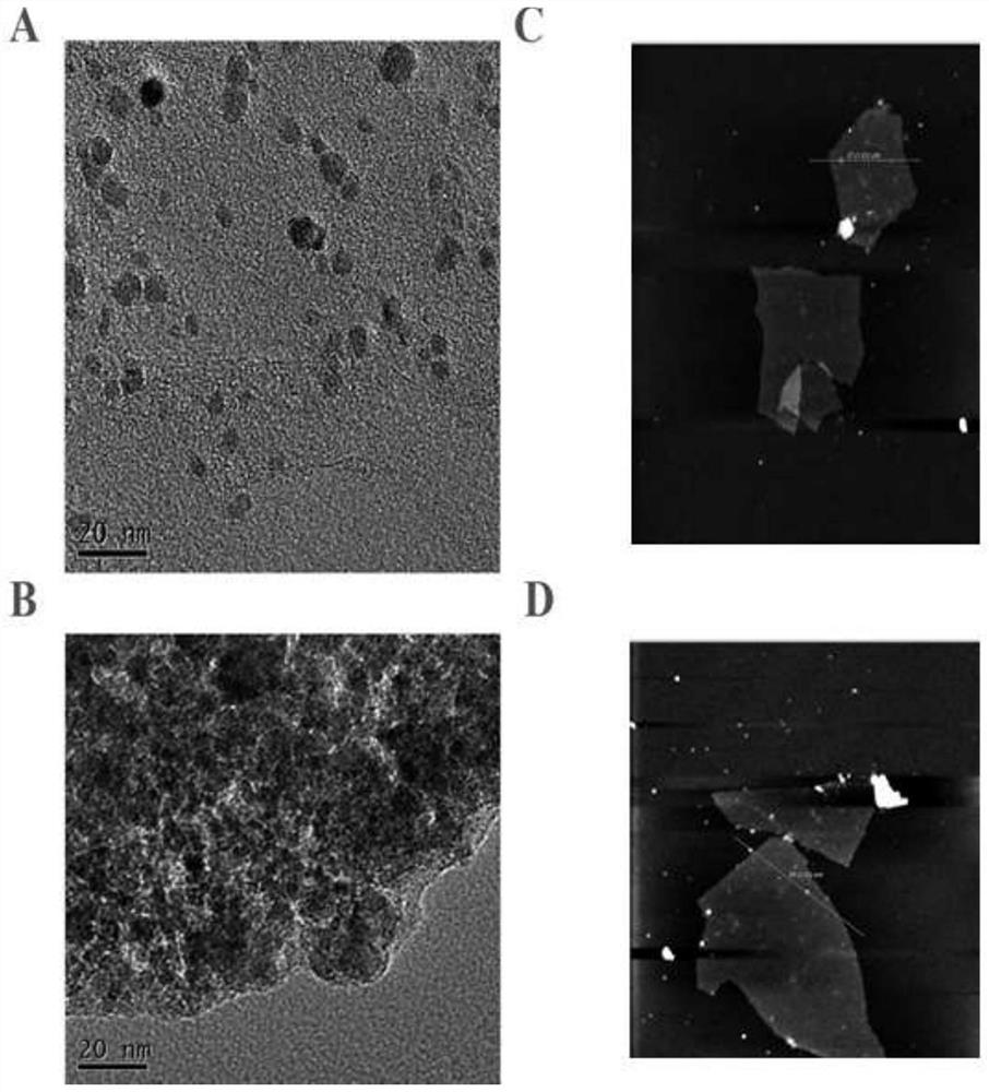 Visual immunoassay method for detecting aspergillus flavus M1