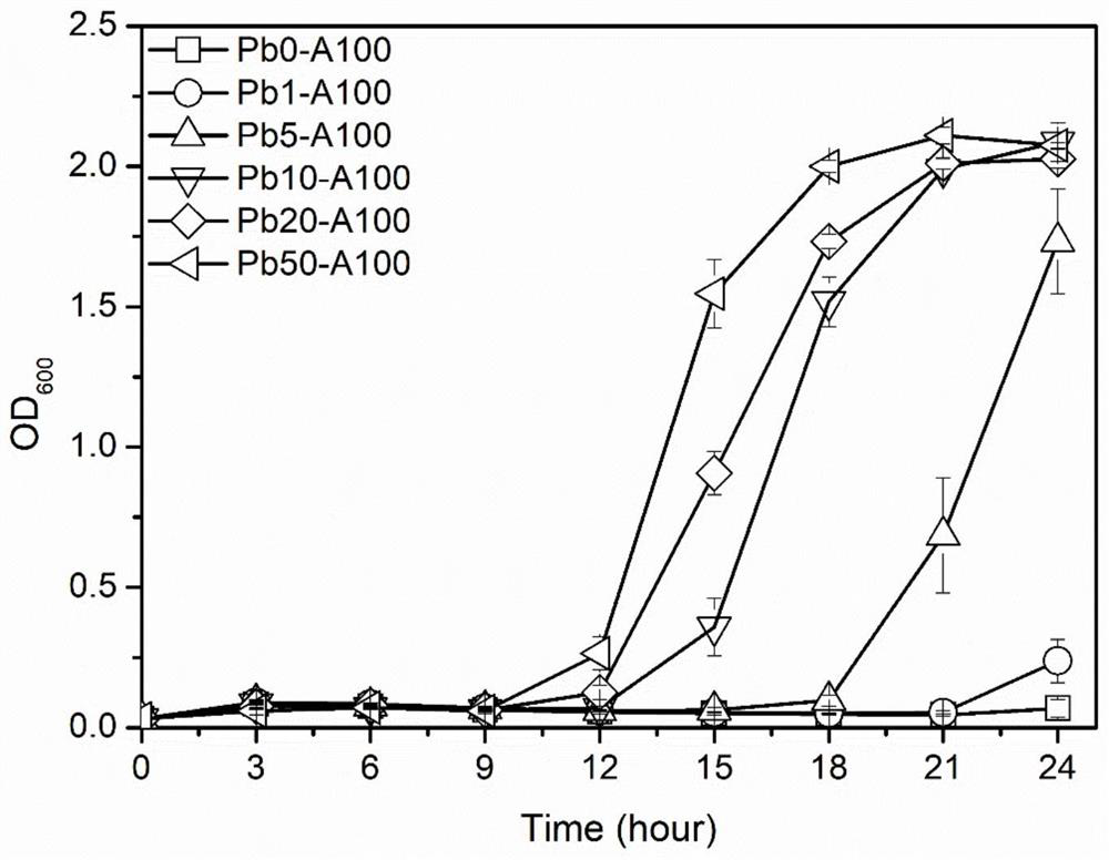 A method for constructing a bidirectional screening system for directed evolution of lead-binding proteins