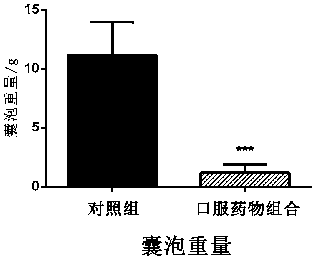 A kind of pharmaceutical composition and pharmaceutical preparation for treating echinococcosis and application thereof