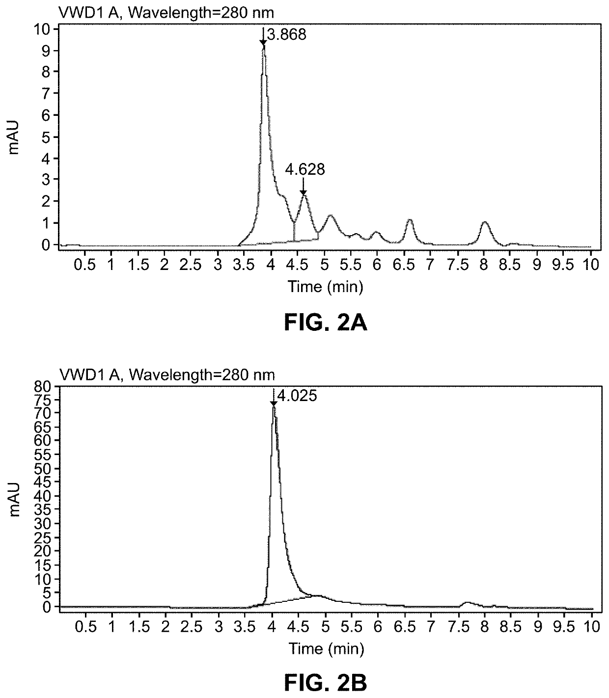 DbpA ANTIBODIES AND USES THEREOF