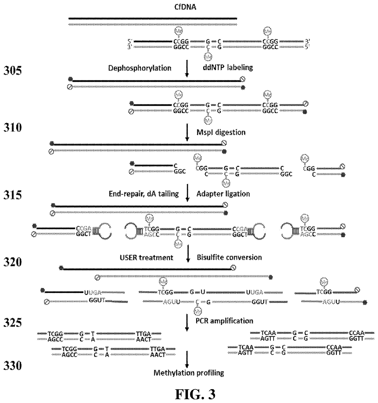 Methods and systems for evaluating DNA methylation in cell-free DNA