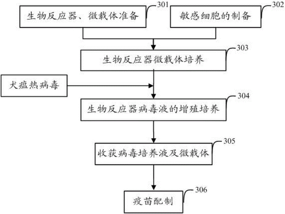 Preparation method of mink canine distemper virus live vaccine and vaccine prepared by same