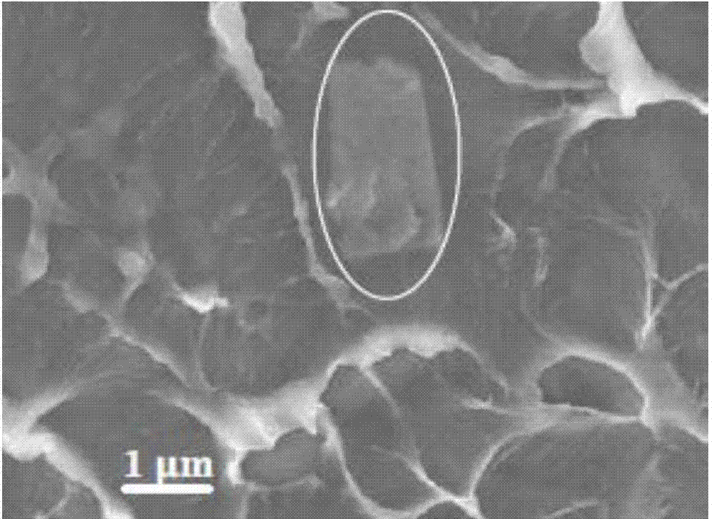 Preparation method of nano-silica with surface grafted with polystearylmethacrylate