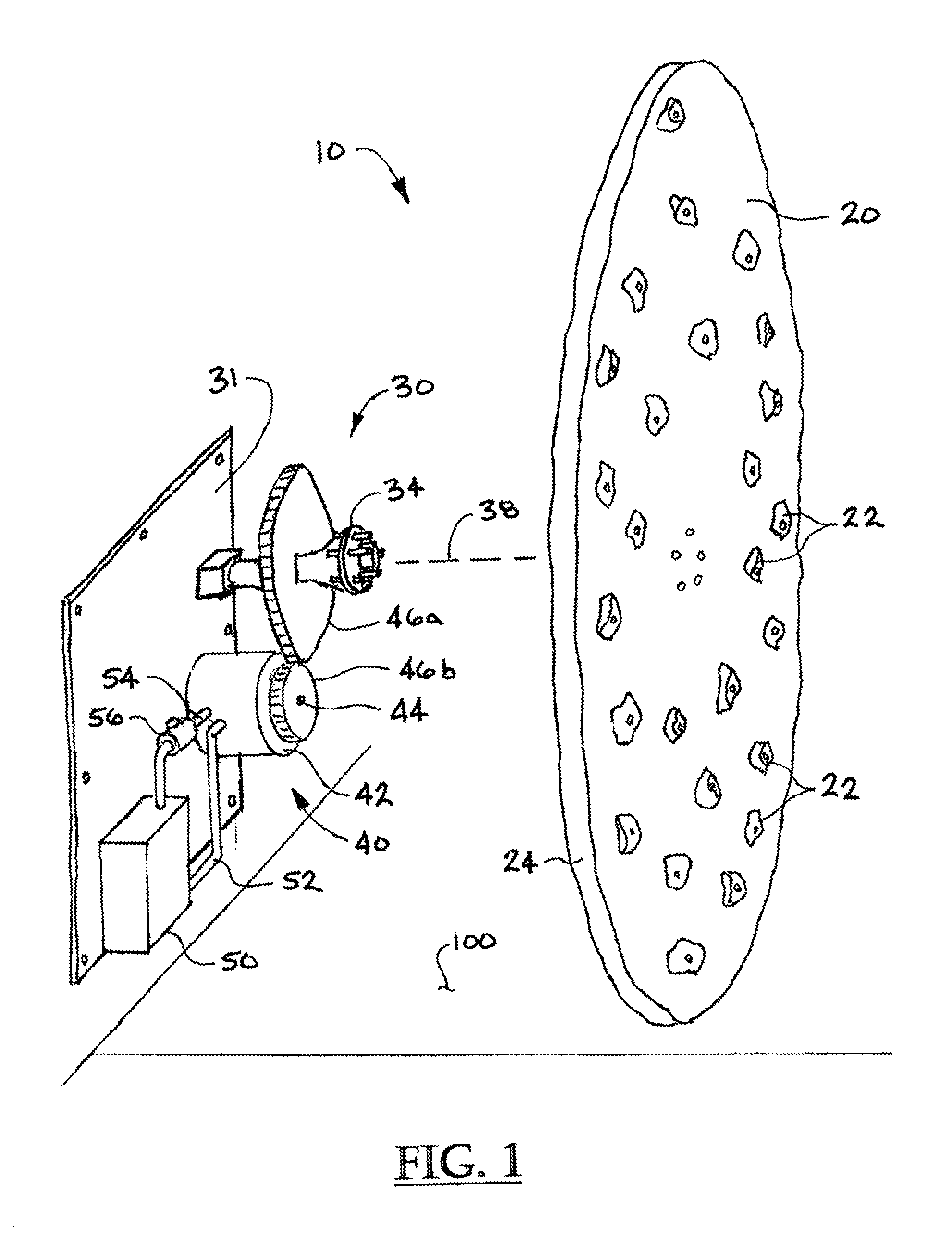 Rock climbing simulator apparatus