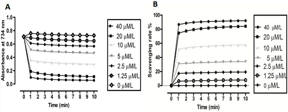 Rana rugulosa wiegmann antibacterial peptide, as well as gene and application thereof