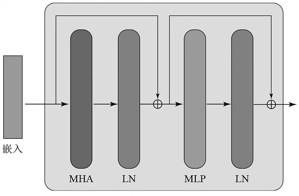 Hyperspectral image classification method and device combining EMP features and TNT module