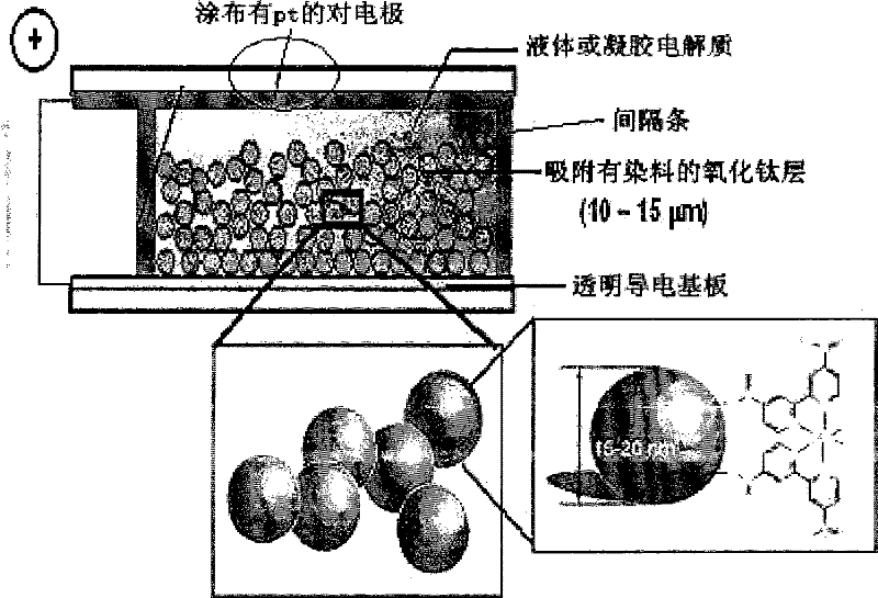 Dye-sensitized solar cell with metal oxide layer containing metal oxide nanoparticles produced by electrospinning and method for manufacturing same