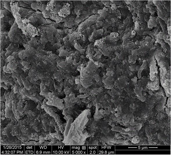 Preparation method of magnetic nanoparticle modified activated sludge adsorbing agent