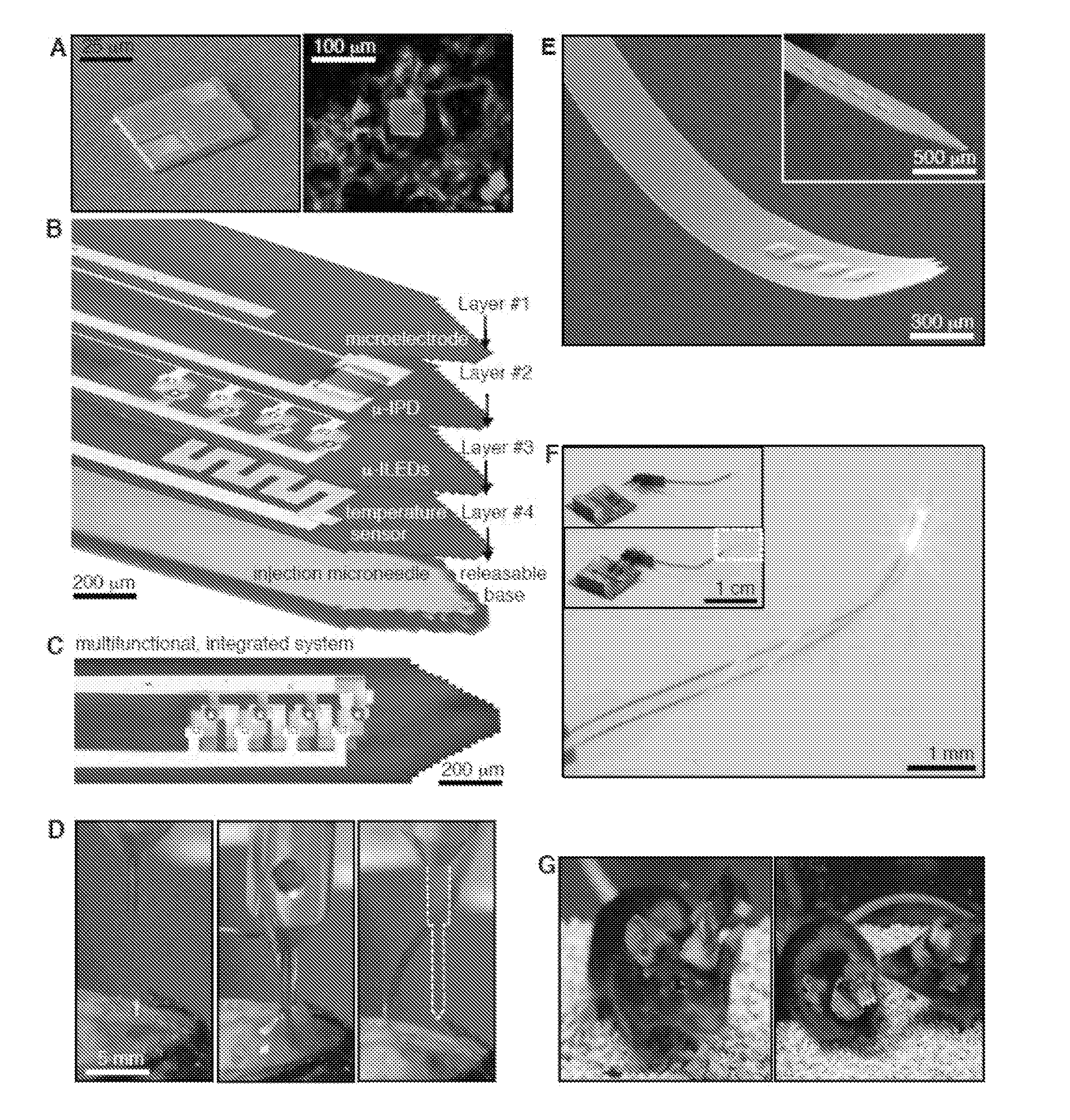 Injectable and implantable cellular-scale electronic devices