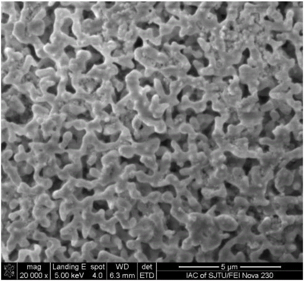 Novel adsorbent for removing fluorine ions in wastewater and preparation method