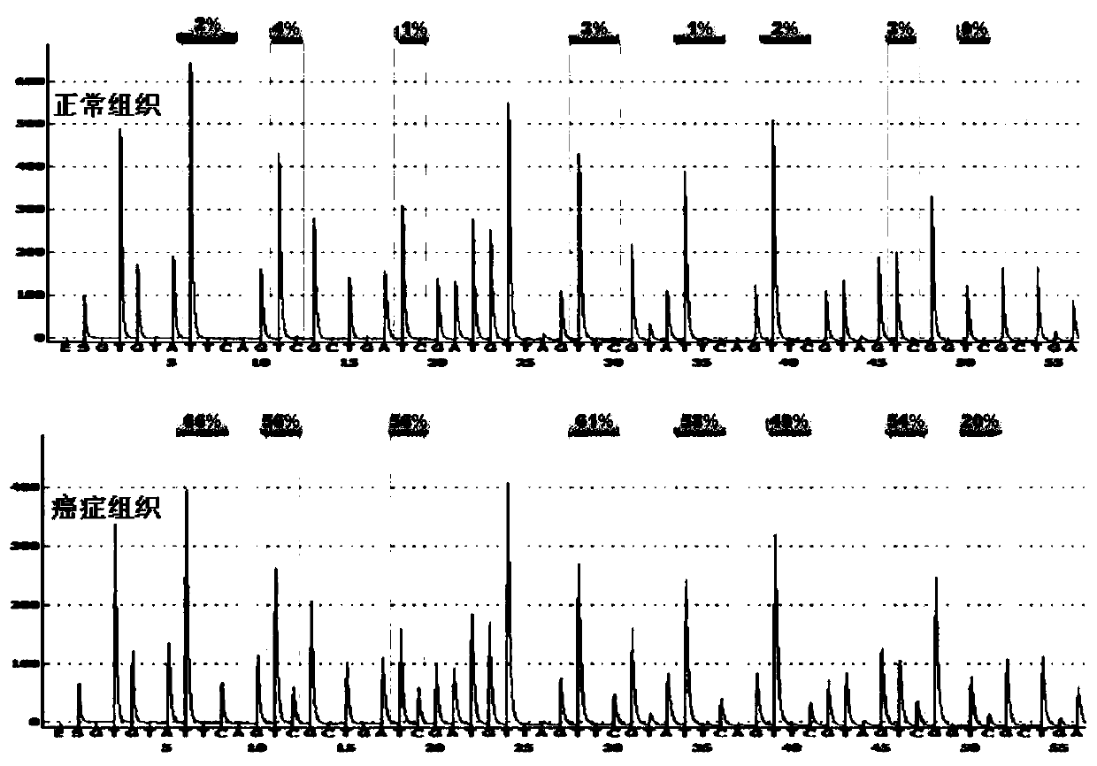 Methylated EphA7 nucleotide fragment and detection method and application thereof