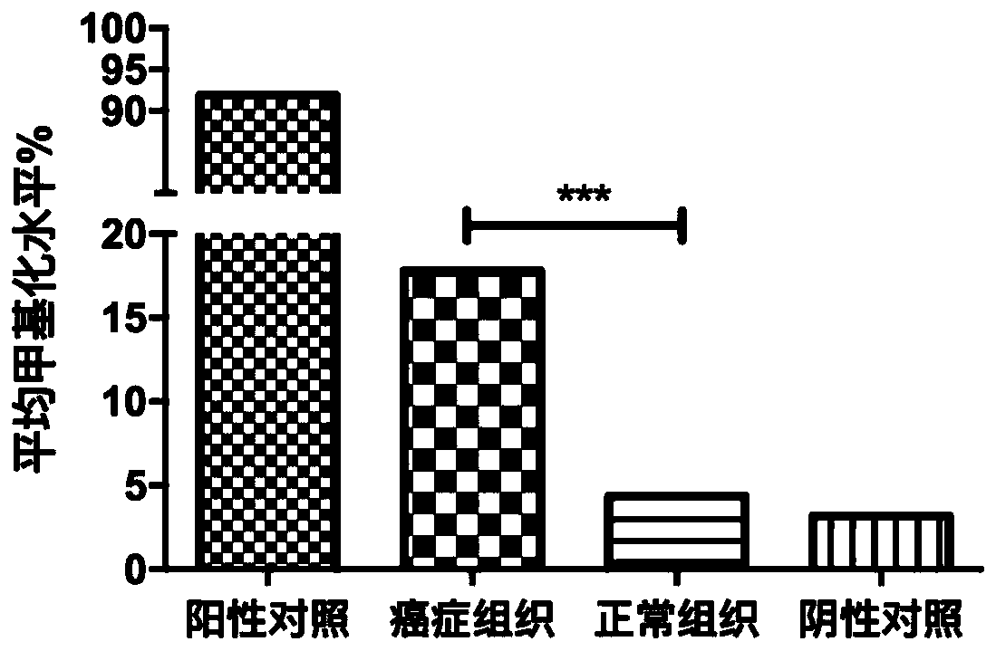 Methylated EphA7 nucleotide fragment and detection method and application thereof