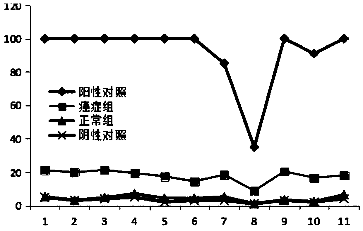 Methylated EphA7 nucleotide fragment and detection method and application thereof