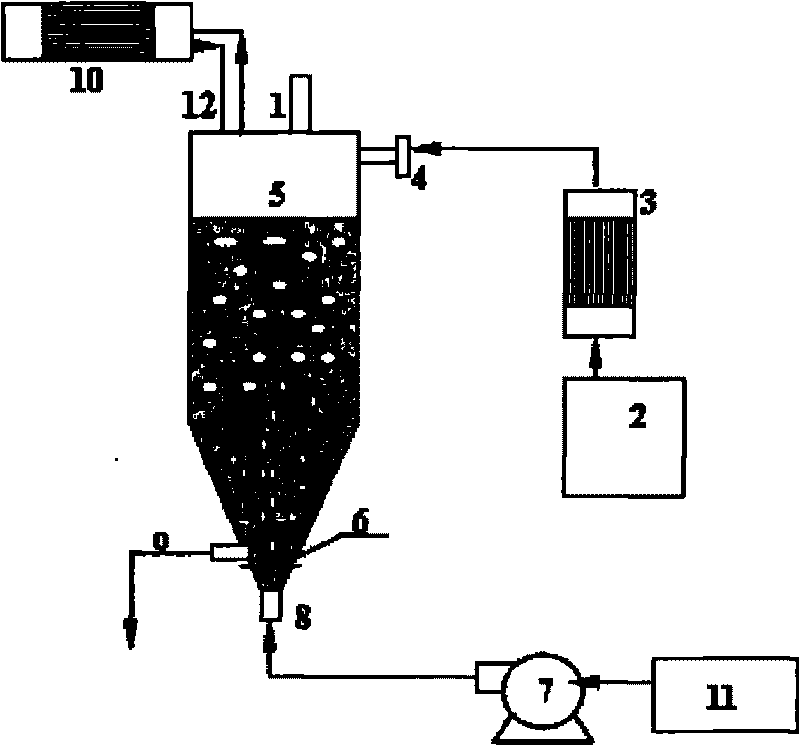 Purification device and method of purifying modified ilmenite concentrate with purification device