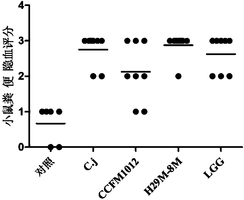 Pediococcus pentosaceus CCFM1012 as well as fermented food thereof and application thereof in preparation of medicine for antagonizing campylobacter jejuni infection