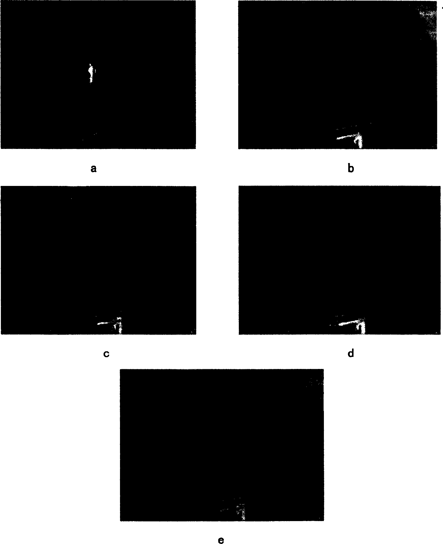 Infrared and visible light image fusion method based on regional property fuzzy