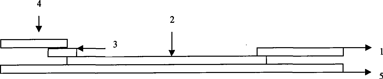 Test paper strip for rapidly detecting brucellosis antibody