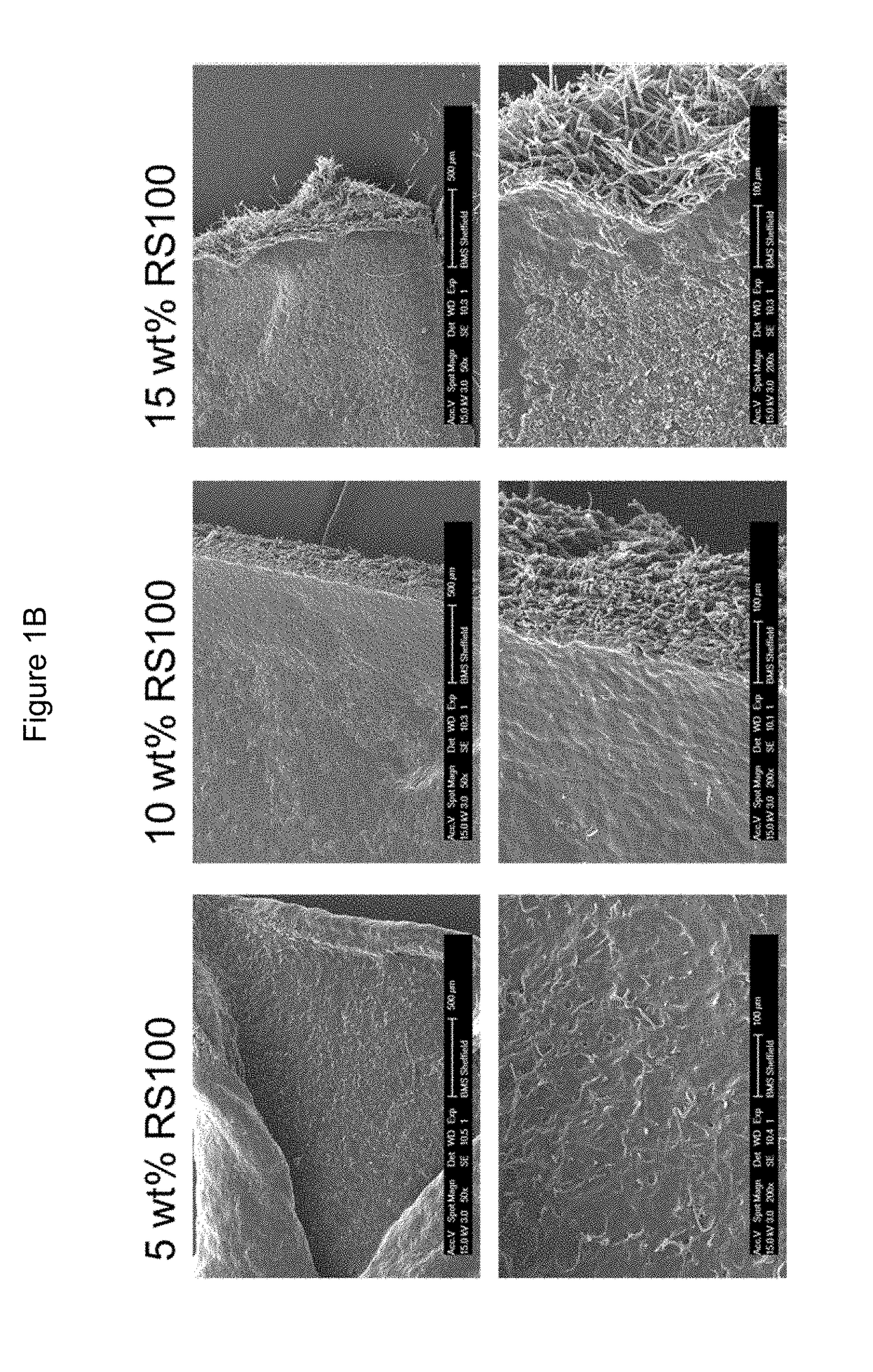 Pharmaceutical composition comprising electrohydrodynamically obtained fibres, the composition having improved residence time on the application site