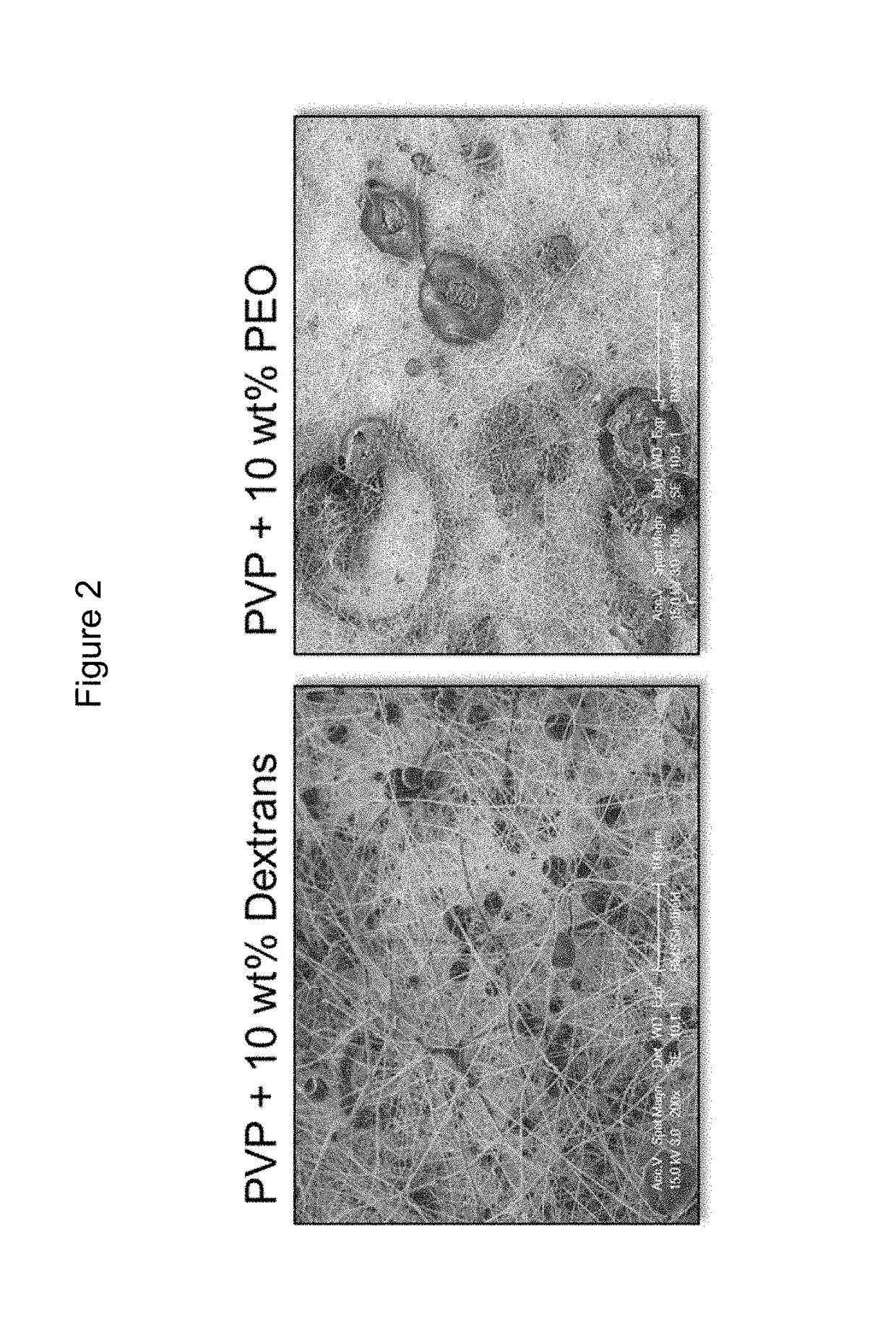 Pharmaceutical composition comprising electrohydrodynamically obtained fibres, the composition having improved residence time on the application site