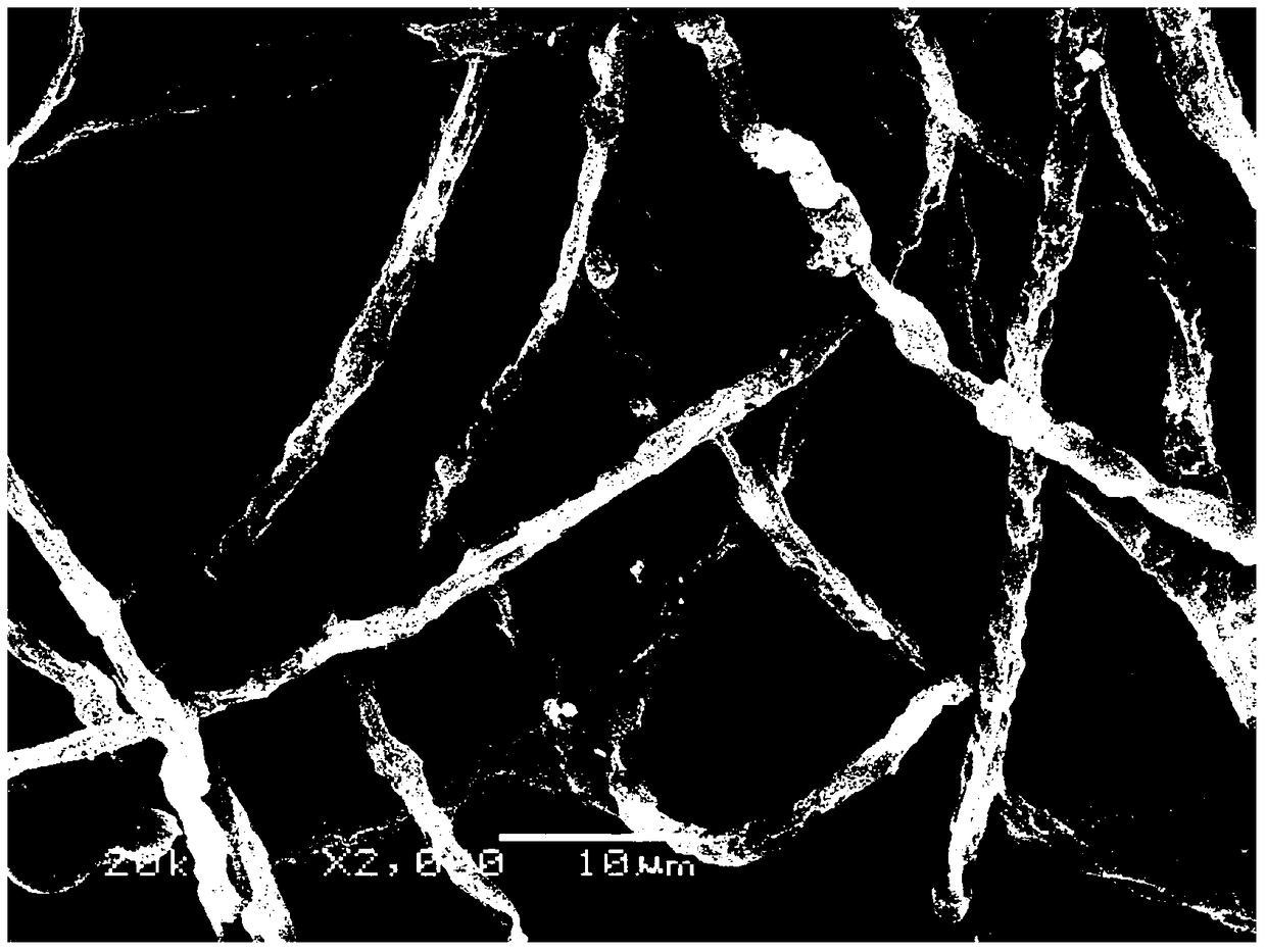 A kind of phosphorus-based biochar material and its preparation and application