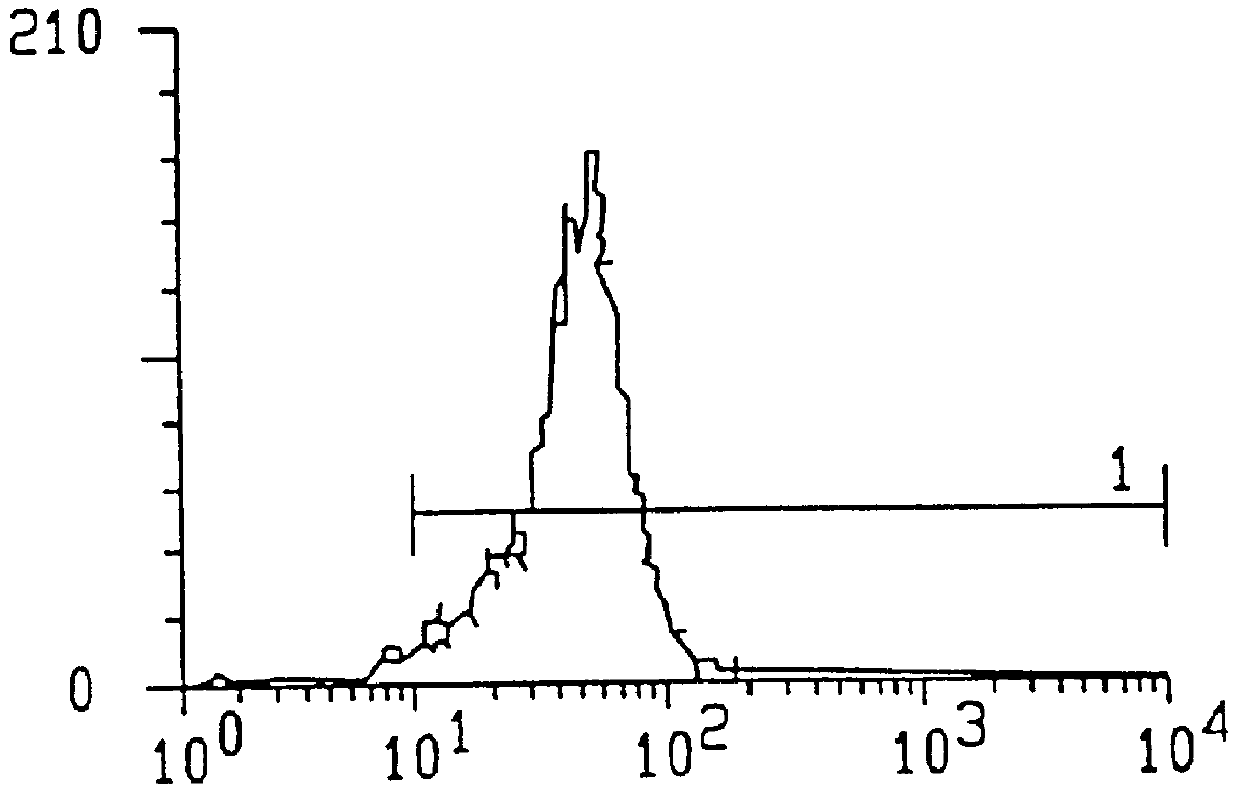 Monoclonal antibodies to antigens expressed by hematopoietic facilitatory cells