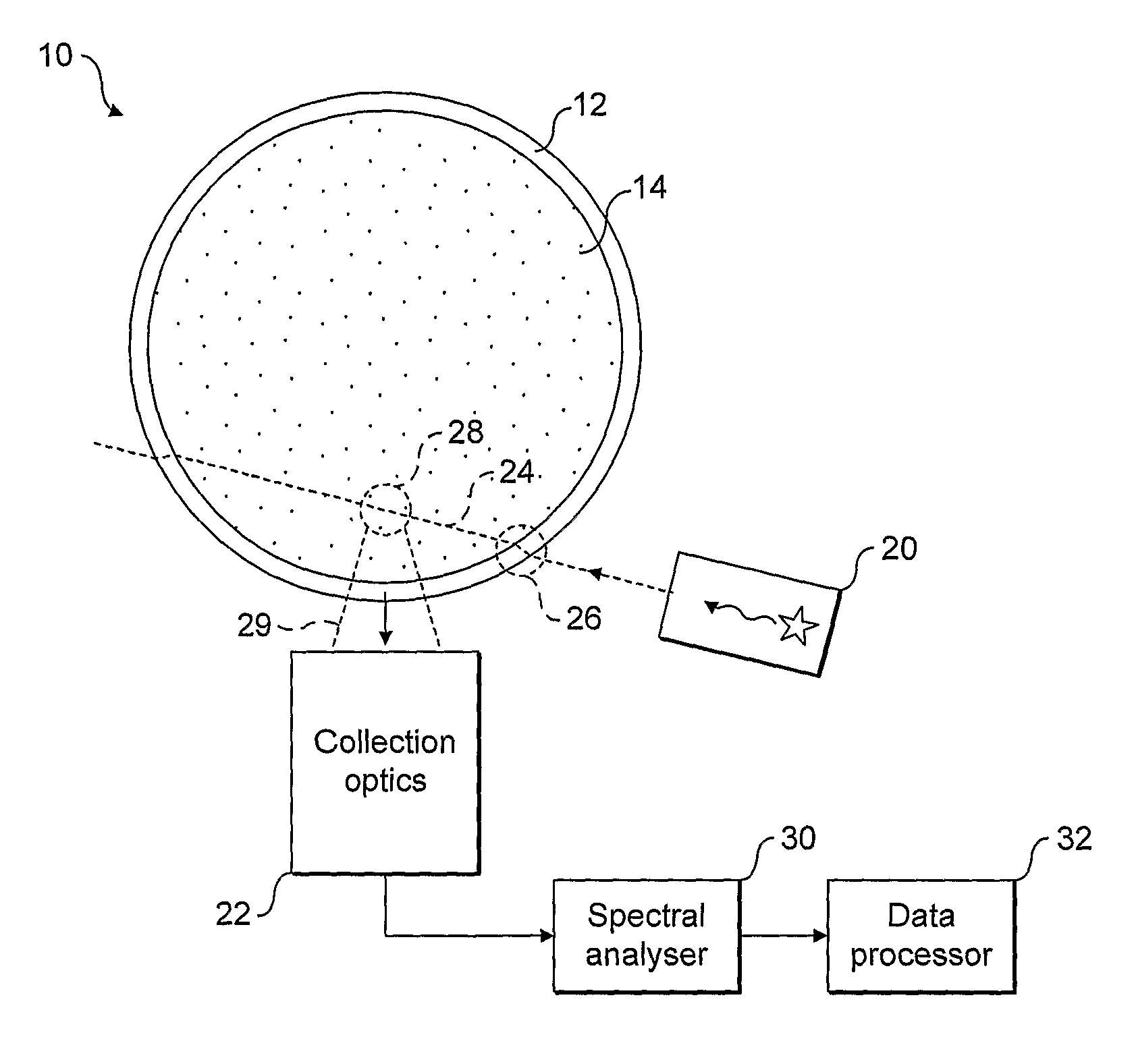 Raman detection of container contents