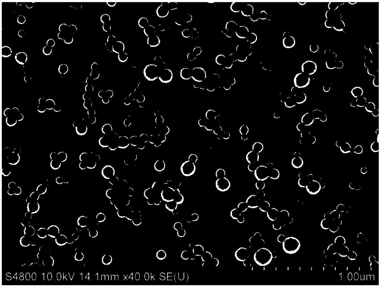 A kind of polyβ-pinene resin functional modification method