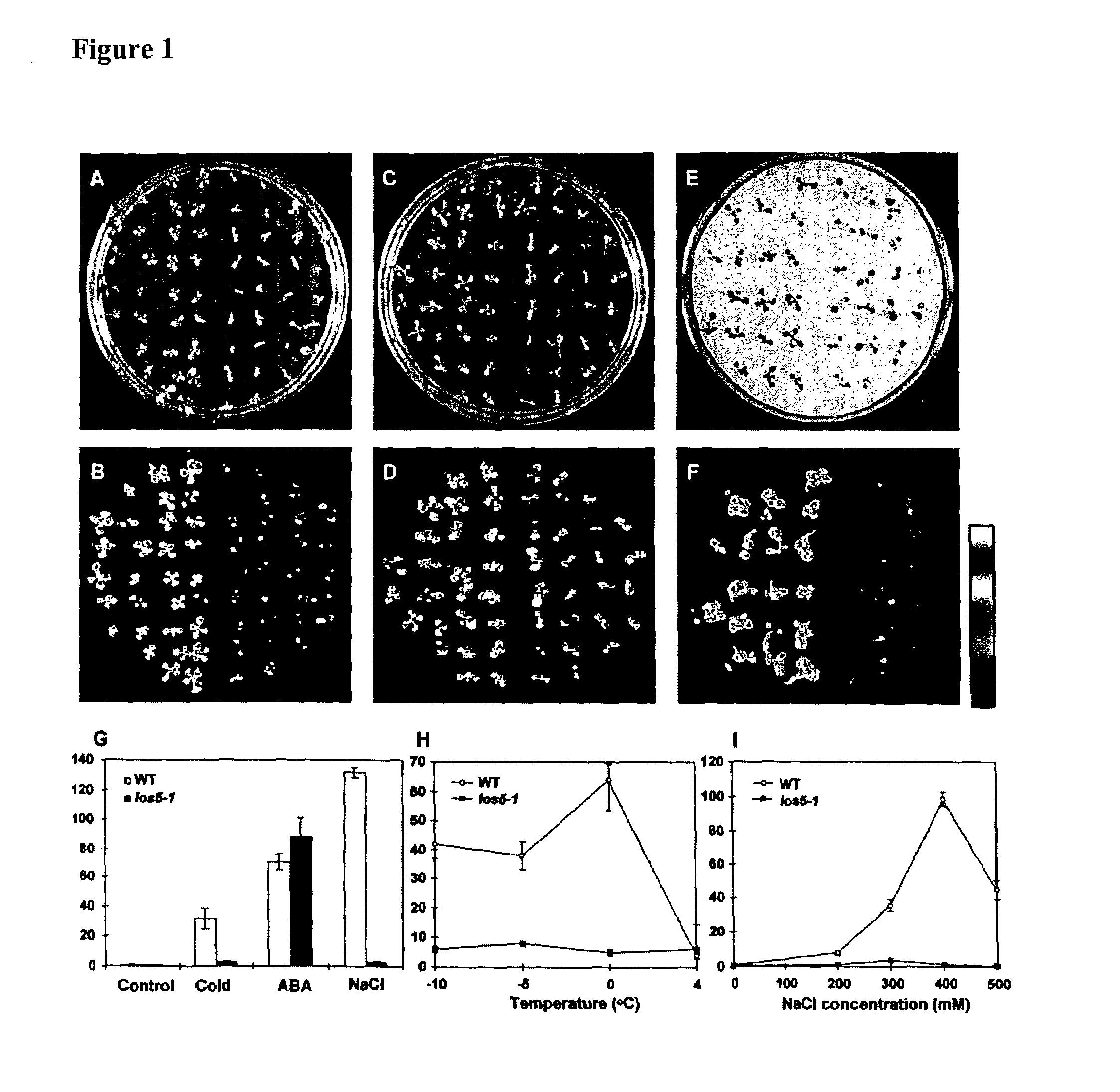 Method for increasing stress tolerance in plants