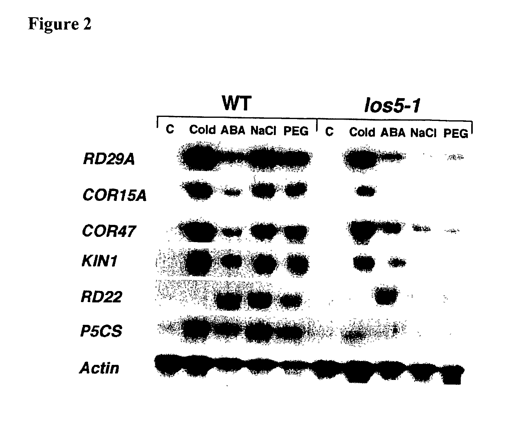 Method for increasing stress tolerance in plants