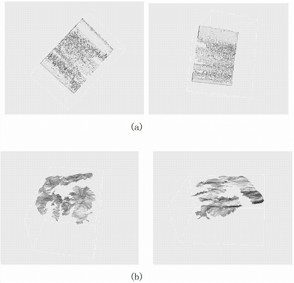 Core fracture identification method based on three-dimensional image information processing