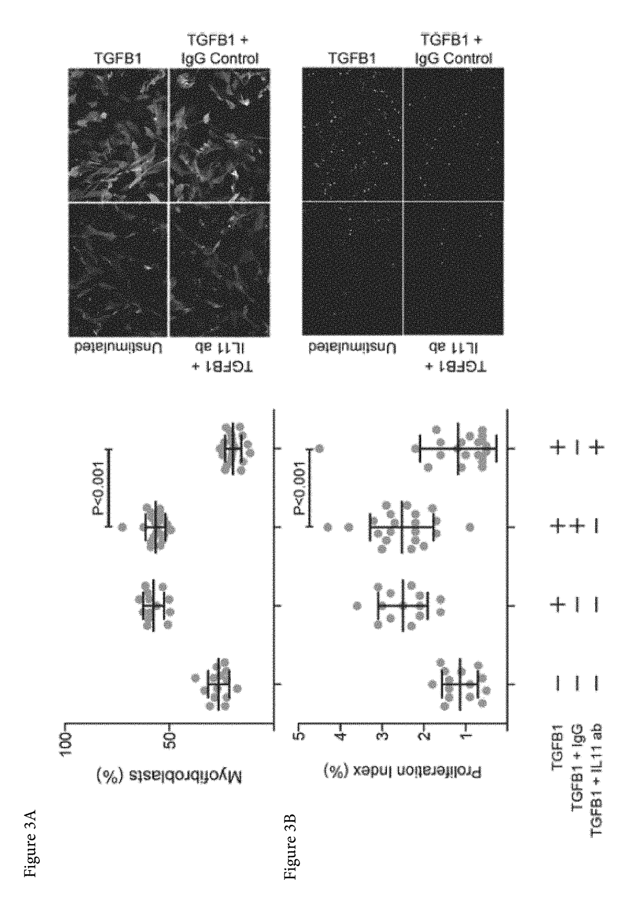 Treatment of fibrosis