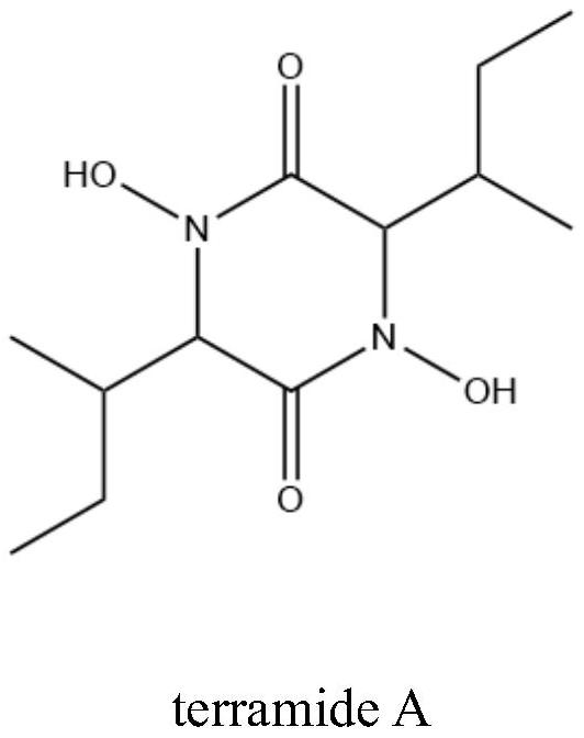 Marine-derived Aspergillus terreus M7 with antibacterial effect, and separation and application of secondary metabolite of Aspergillus terreus M7