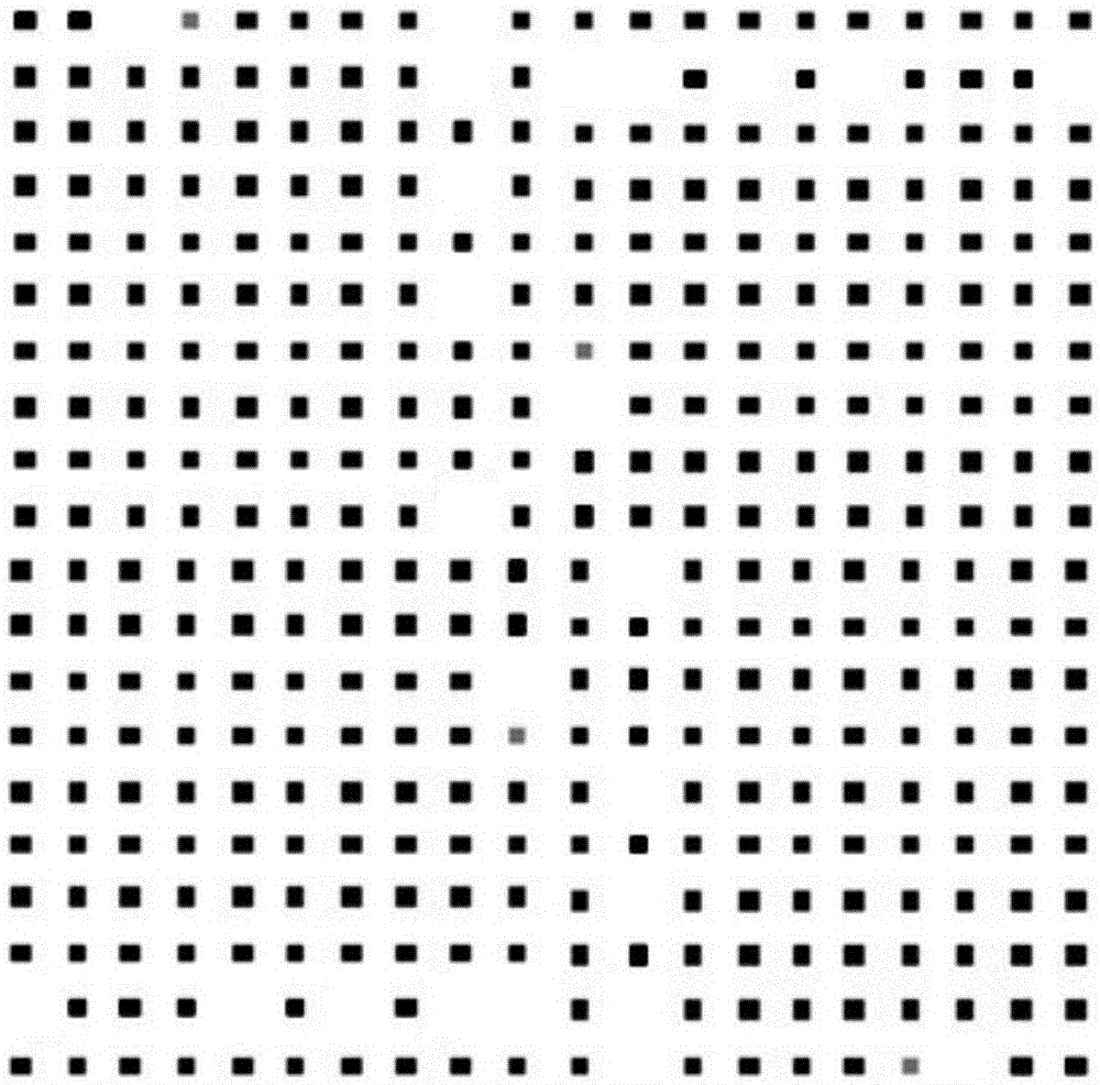 Square lattice anti-counterfeit label group, and method and system for reading square lattice anti-counterfeit label group