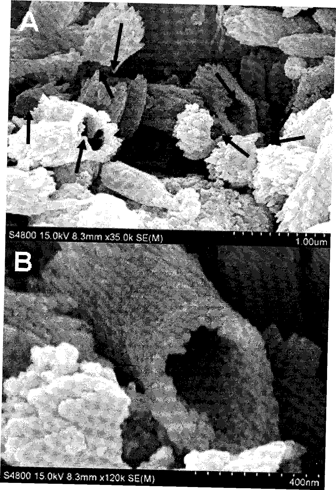 Hollow nanostructured hydroxyapatite and method for producing the same