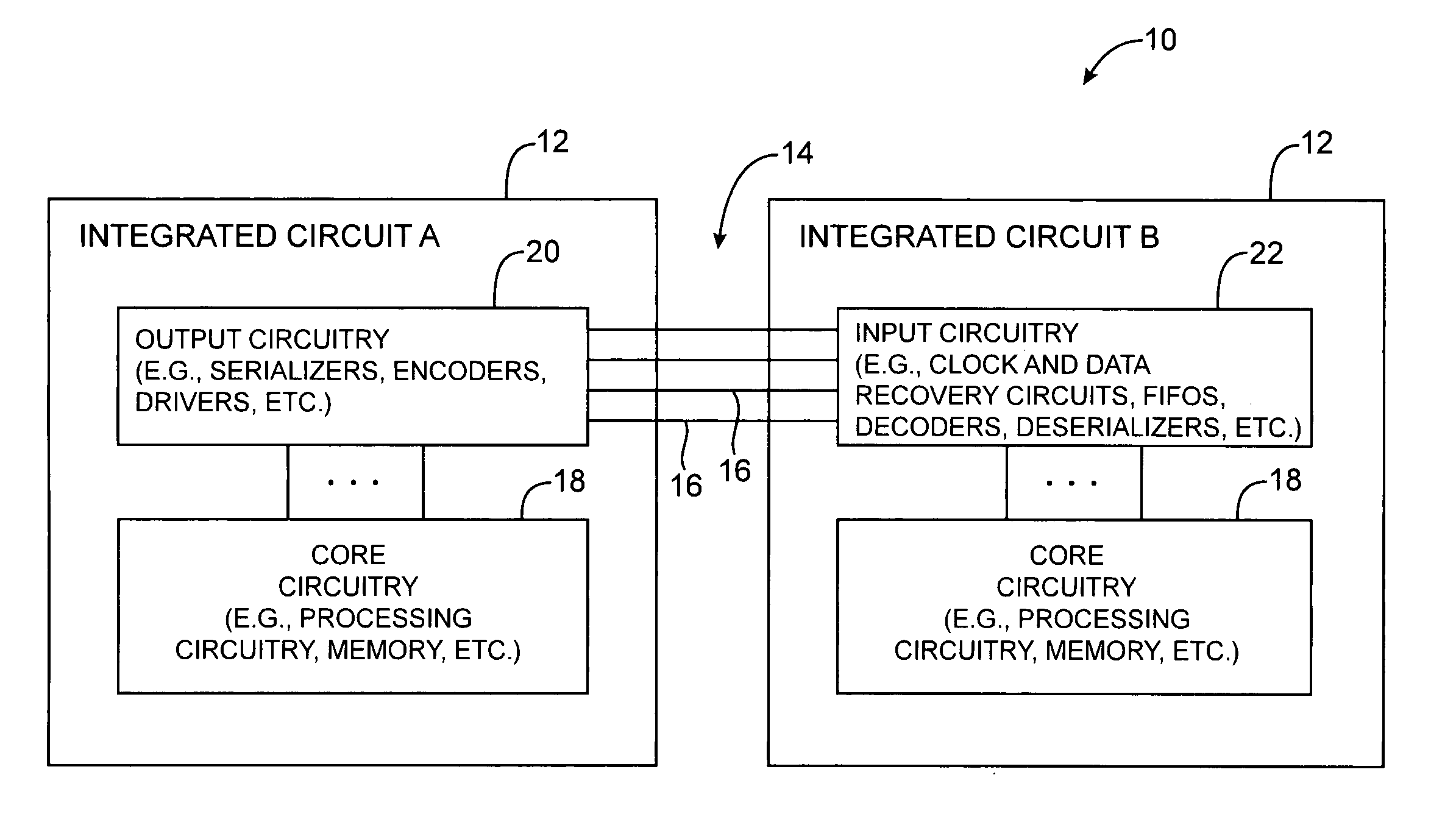 Process for producing dried, singulated fibers using steam and heated air