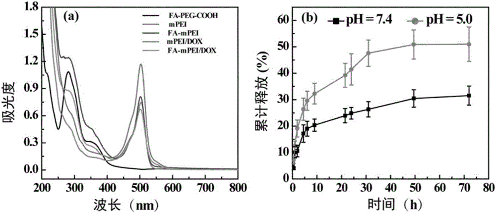 A method of loading doxorubicin through folic acid targeted multifunctional hyperbranched polyethylenimine