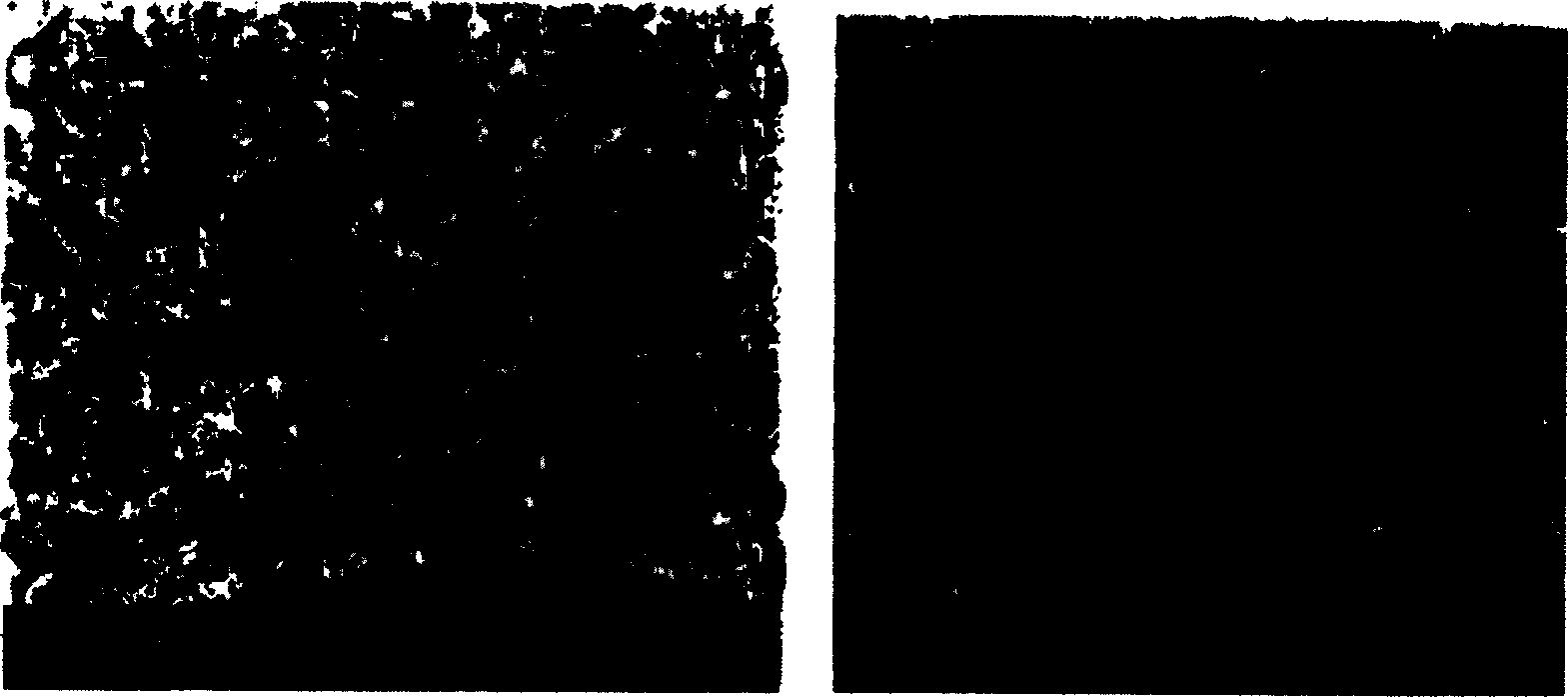 Photosensitive silver slurry for concentration electrode and method for preparing same