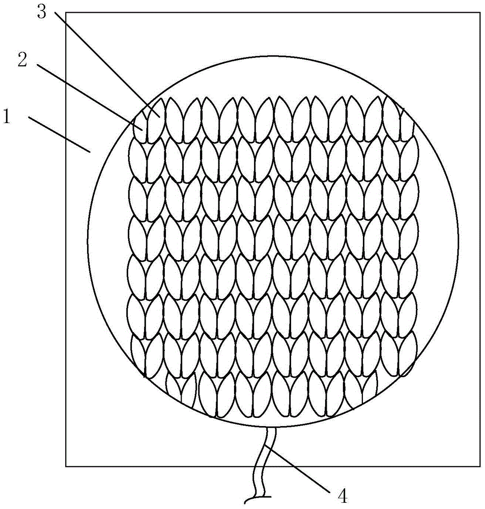 Fiber sensor suitable for electrocardiogram and respiratory signal detection