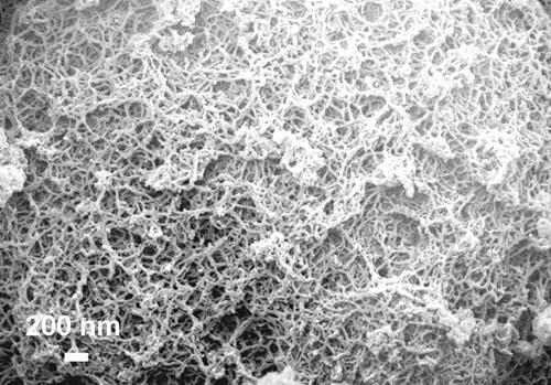 Preparation method of nickel phosphide/TpPa-2 composite material and hydrogen production method by photolyzing water