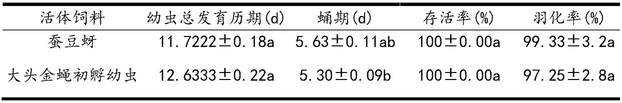 Method for feeding harmonia axyridis with chrysomyia megacephala larvae