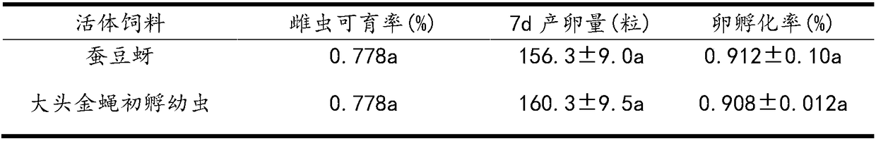 Method for feeding harmonia axyridis with chrysomyia megacephala larvae