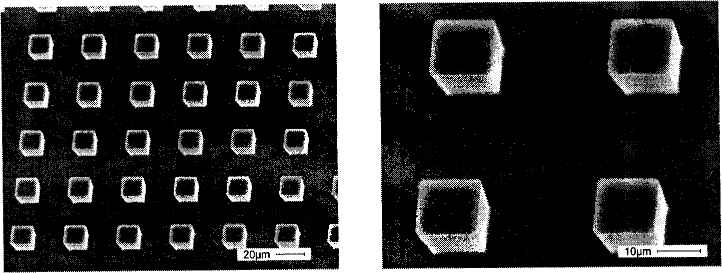 Preparation of micro-nano structure bionics valve, surface congeal-resistance and drag reduction testing method thereof