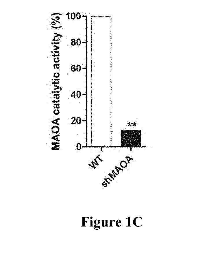 Monoamine oxidase inhibitors and methods for treatment and diagnosis of prostate cancer