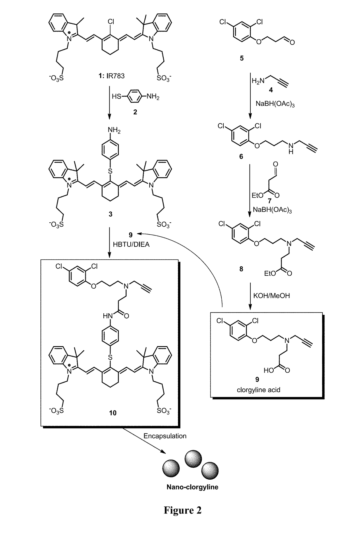 Monoamine oxidase inhibitors and methods for treatment and diagnosis of prostate cancer