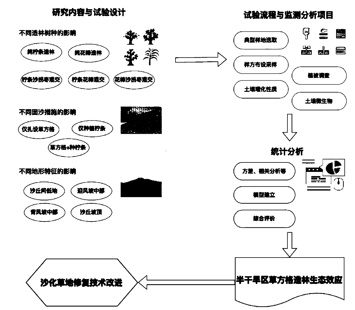 Method for studying influence of straw-checkerboard afforestation on vegetation and soil characteristics