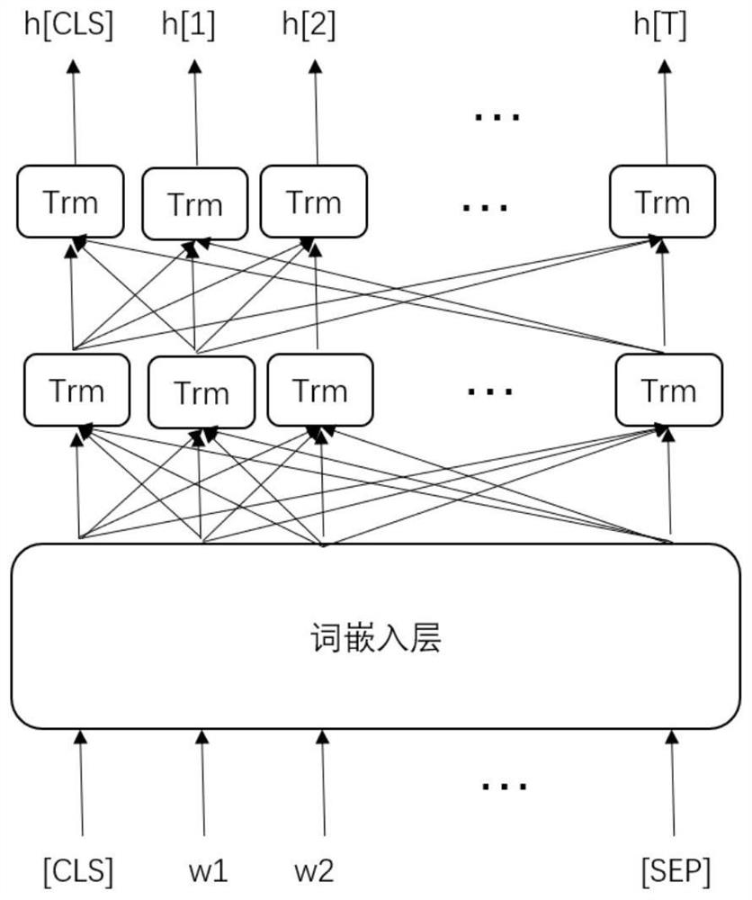 Lung cancer frontier trend prediction method based on multi-label classification